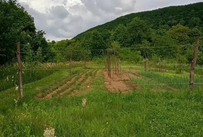 Casă cu 2 camere în Sibișel (Beriu) - 7