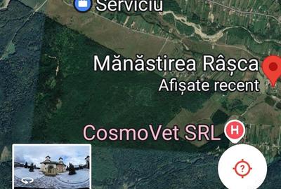 Teren de 6879 mp, în Dumbrăveni - 9