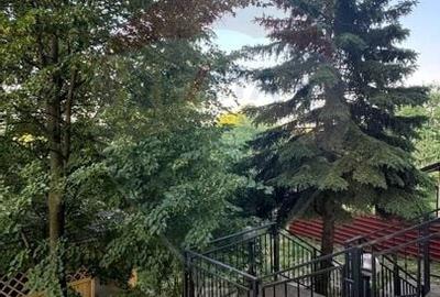 Vila la Munte - in Breaza, Prahova Vila la Munte - in Breaza, Prahova - 28