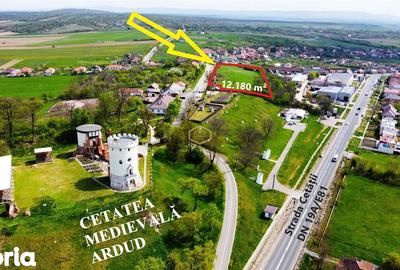 Teren de 12180 mp, în Burdea - 1