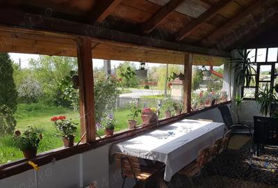 Casa cu teren 5000 m2 domeniu ranch - 8