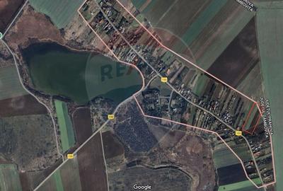 Teren Construcții intravilan de 10000 mp, în Butimanu - 2
