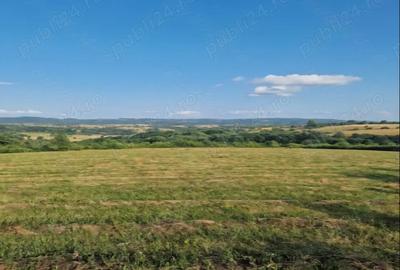 Teren de 16441 mp, în Podeni - 2