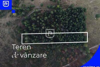 Teren situat in Frasin | BUCOVINA - 1