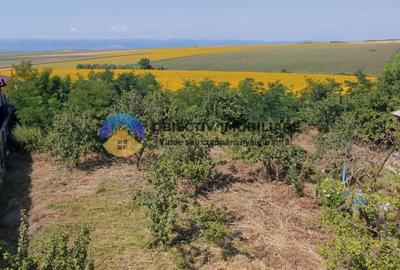 Teren de vanzare - Margineni 5920 mp - 13