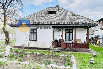 CASA traditionala PANGARATI la DN 15 cu vedere spre raul Bistrita - 1