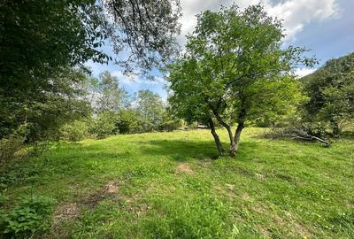 Teren 2 hectare pe Valea Ariesului, zona Scarita-Belioara, pret oportun 2 Eur/mp - 6