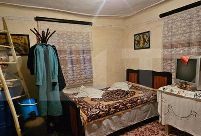 Casa rustica (62mp) in sat Magura cu 1000mp teren si anexe! - 18