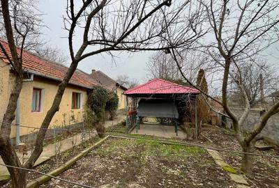 Casa de vanzare , Cetate , Dolj - 6