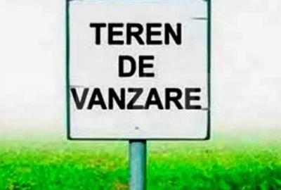 Teren de 20000 mp, în Remetea Mare