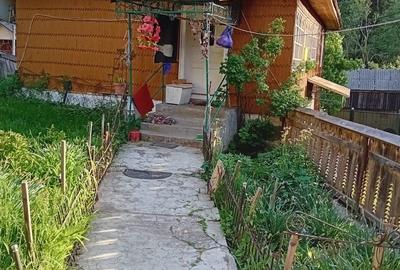 Casă cu 4 camere în Horea - 5