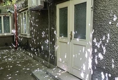 Casă cu 4 camere cu Teren 235 Mp în Central - 2