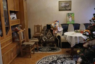 Casă cu 4 camere cu Teren 6000 Mp în Havârna - 13