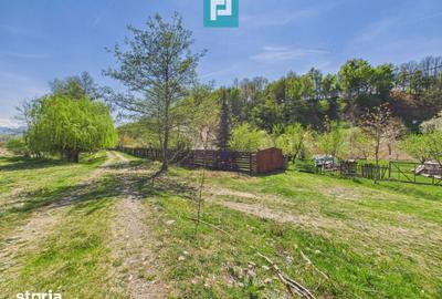 Casă cu 5 camere cu Teren 8000 Mp în Sânmartin - 15