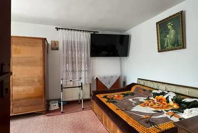 Casă cu 3 camere cu Teren 4000 Mp în Letca Nouă - 18