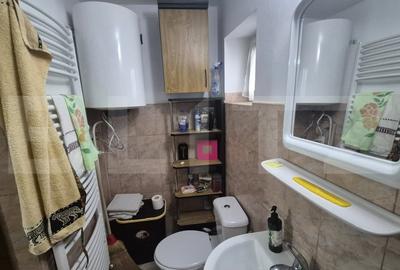 Casa cu 2 camere, 65 mp, teren 2910 mp, in Viile Satu Mare - 17