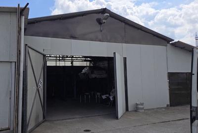 Casă cu 4 camere cu Teren 2445 Mp în Plopșoru - 5