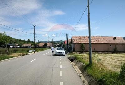 Teren de 15360 mp, în Blăjel - 6