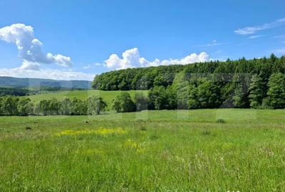 Teren în Dumbrăvița - 1