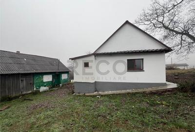 RECO, casa in Sinteu, aproape de Huta Slavia - 3