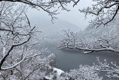 Teren de 1000 mp, în Tarnița - 3