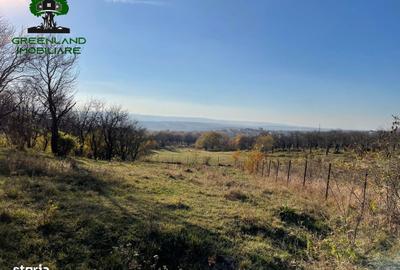 Teren de 560 mp, în Bârnova - 5