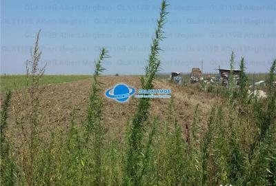 Teren de 20700 mp, în Hotarele - 3