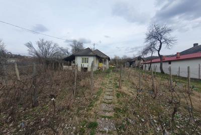 Casă în Livezi - 2