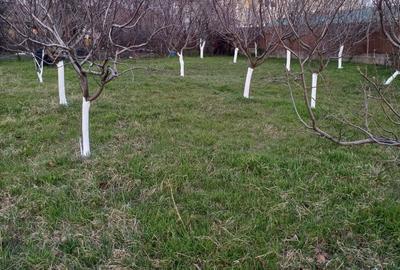 Teren de 600 mp, în Dudașu Schelei - 2
