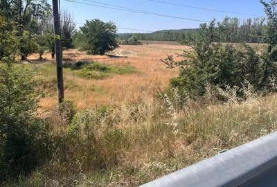 Teren agricol cu potential 24.834 mp, zona Podul Jiului Teren agricol cu potential 24.834 mp, zona Podul Jiului - 13