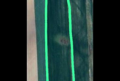 Teren de 25000 mp, în Căteasca - 4