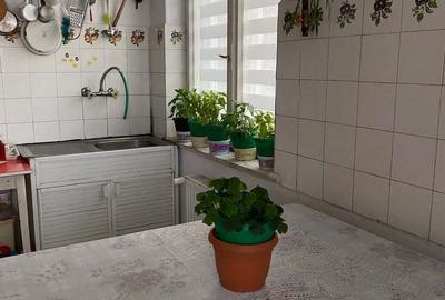 Vand apartament ultracentral, la casa, in Lugoj - 1