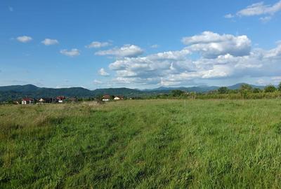 Teren de 5400 mp, în Merișor - 2