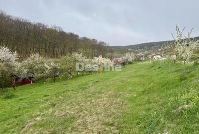 Teren de 950 mp, în Central - 3