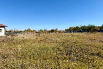 Teren Construcții intravilan de 800 mp, în Hărman - 2