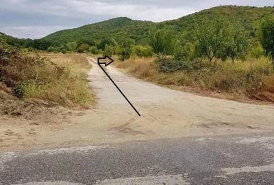 Teren de 2500 mp, în Balotești - 3
