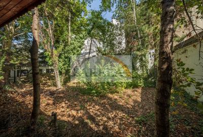 ULTRACENTRAL - Vilă UNICĂ și cu POTENȚIAL uriaș, o poveste de succes - 36