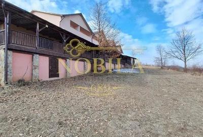 Spațiu comercial, de 1,000 mp, în Dofteana - 15