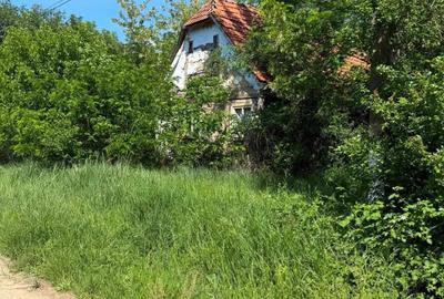 Teren de 5035 mp, în Mânerău - 3