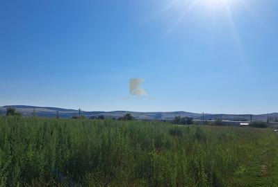 Posibilitate RATE | Teren Bod | curti constructii | utilitati | PUZ, - 18