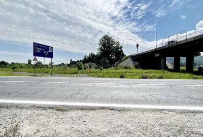 Teren Construcții intravilan de 13566 mp, în Bartolomeu - 17