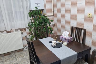 COLENTINA RAU, MAIOR BACILA IN PLAN SECUND, PARCUL PLUMBUITA LA 5MIN. - 17