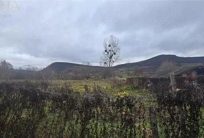 Casă cu 2 camere cu Teren 1432 Mp în Chiraleș - 10