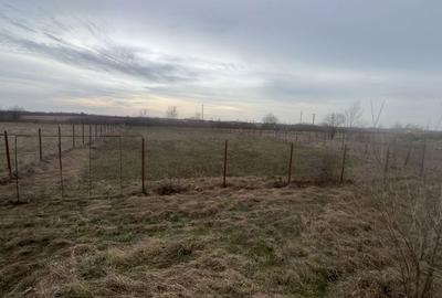 Teren de 1020 mp, în Dragșina - 6