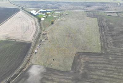 Teren de 650 mp, în Dudeștii Noi - 2