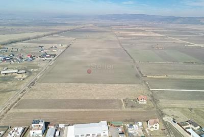 Teren Extravilan, P.U.Z. inceput - 12