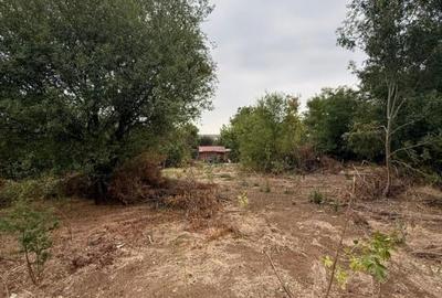 Teren de vanzare 716mp Dudu-Rosu, Chiajna, langa Padurea Roso - 2