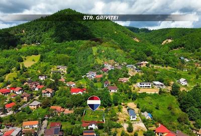 Teren Construcții intravilan de 760 mp, în Griviței - 1