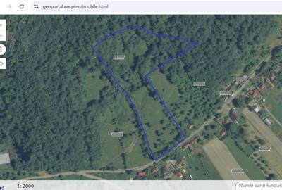 14075 mp teren partial intravilan, cu acces la utilitati - Criscior 14075 mp teren partial intravilan, cu acces la utilitati - Criscior - 4