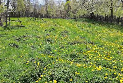 Teren de 959 mp, în Valea Doftanei - 4